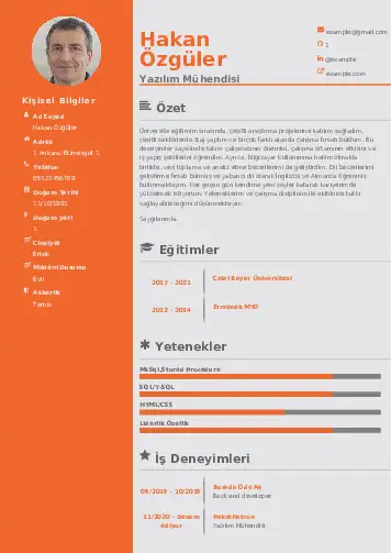 Yazılım Mühendisi Cv Örnekleri cv indir